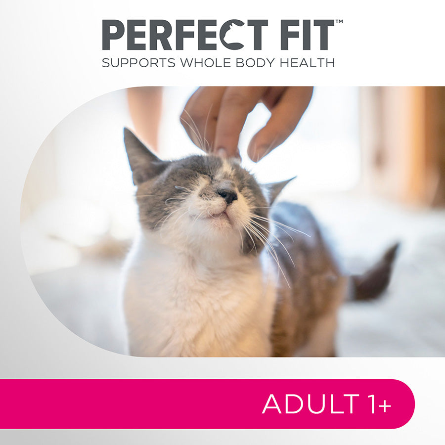 Perfect Fit Advanced Nutrition Wet Adult Cat Food Mixed In Gravy 12x85g