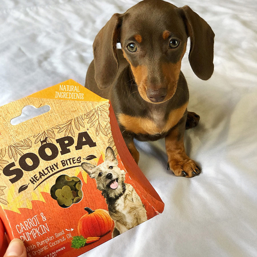 Soopa Healthy Bites Dog Treat Carrot & Pumpkin 50g