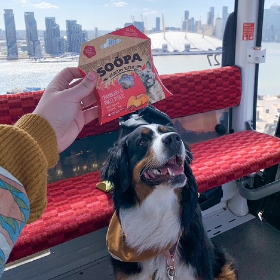 Soopa Healthy Bites Dog Treat Cranberry & Sweet Potato 50g