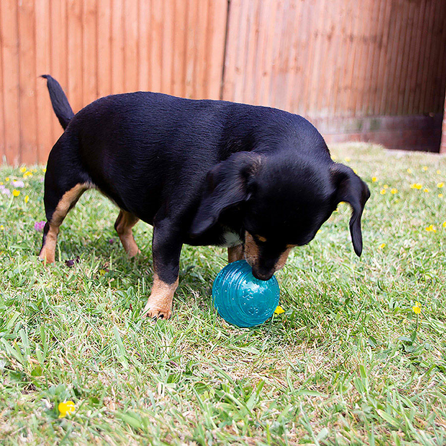 Rosewood BioSafe Puppy Ball Blue