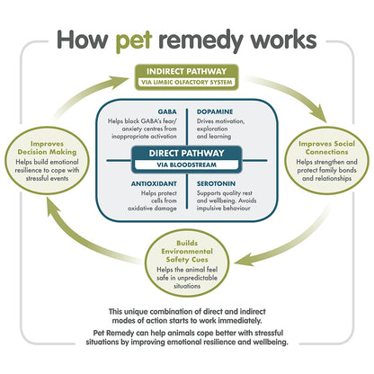 Pet Remedy Calming Bandana Kit Medium