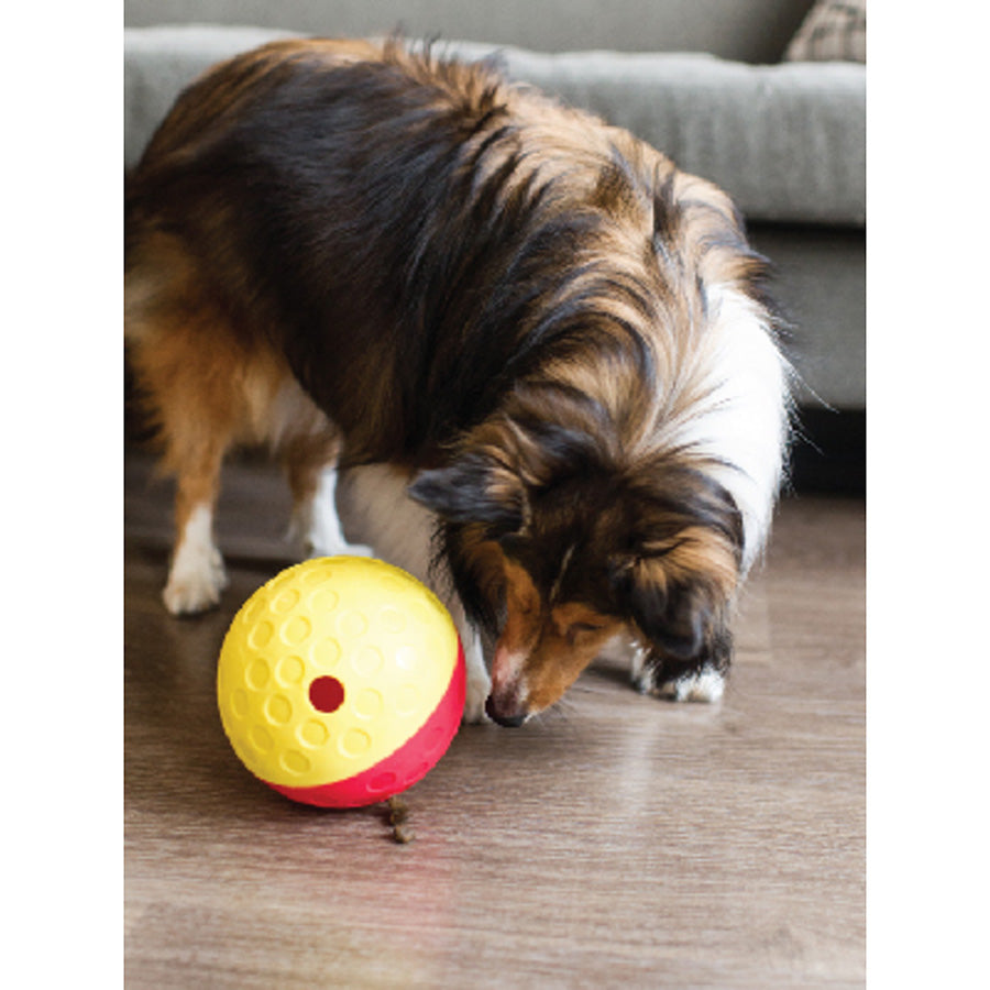 Nina Ottosson Interactive Treat Dispensing Dog Puzzle Toy Large
