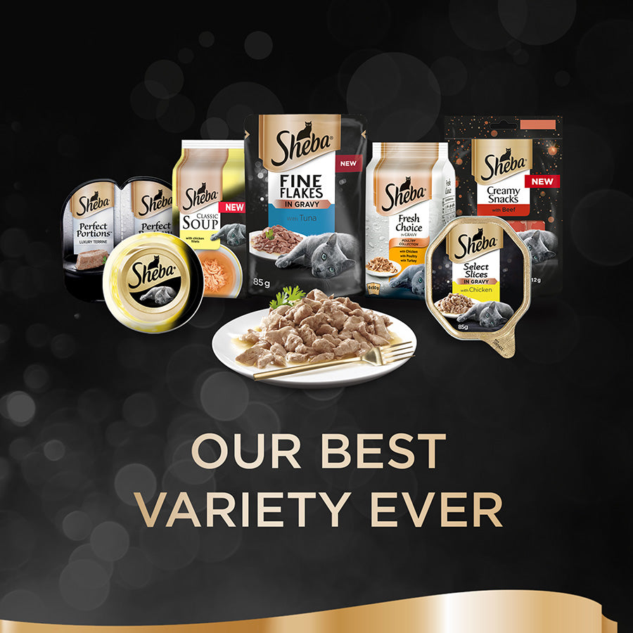 Sheba Select Slices Adult Wet Cat Food Poultry In Gravy 40x85g