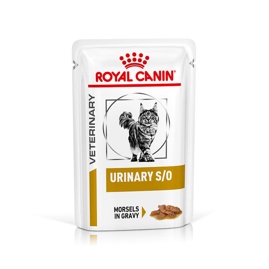 Royal Canin Veterinary Urinary S / O Adult Wet Cat Food in Gravy 48x85g