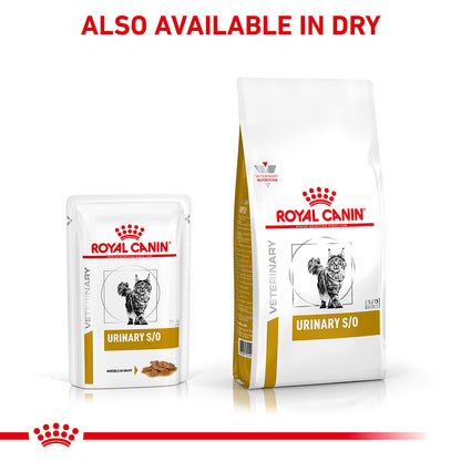 Royal Canin Veterinary Urinary S / O Adult Wet Cat Food in Gravy 48x85g
