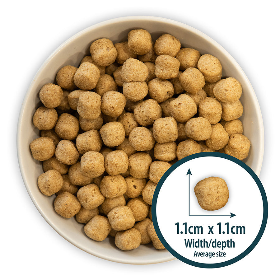 Burns Dry Dog Food Chicken & Brown Rice 12kg