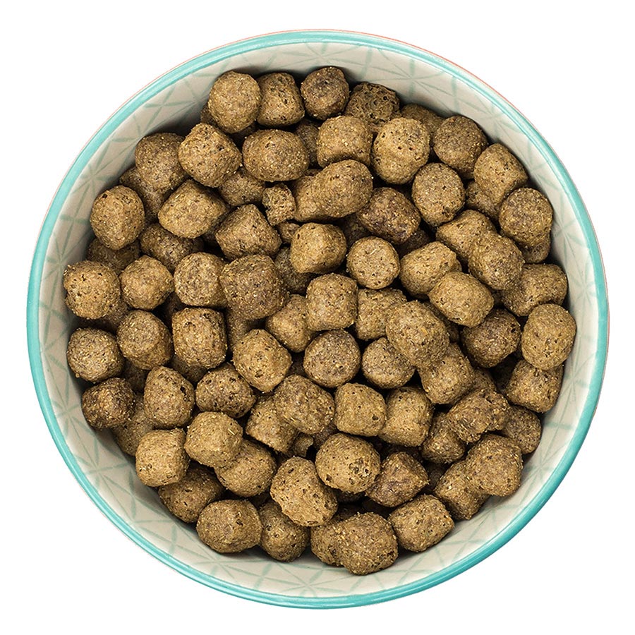 Burns Dry Dog Food Chicken & Brown Rice 12kg