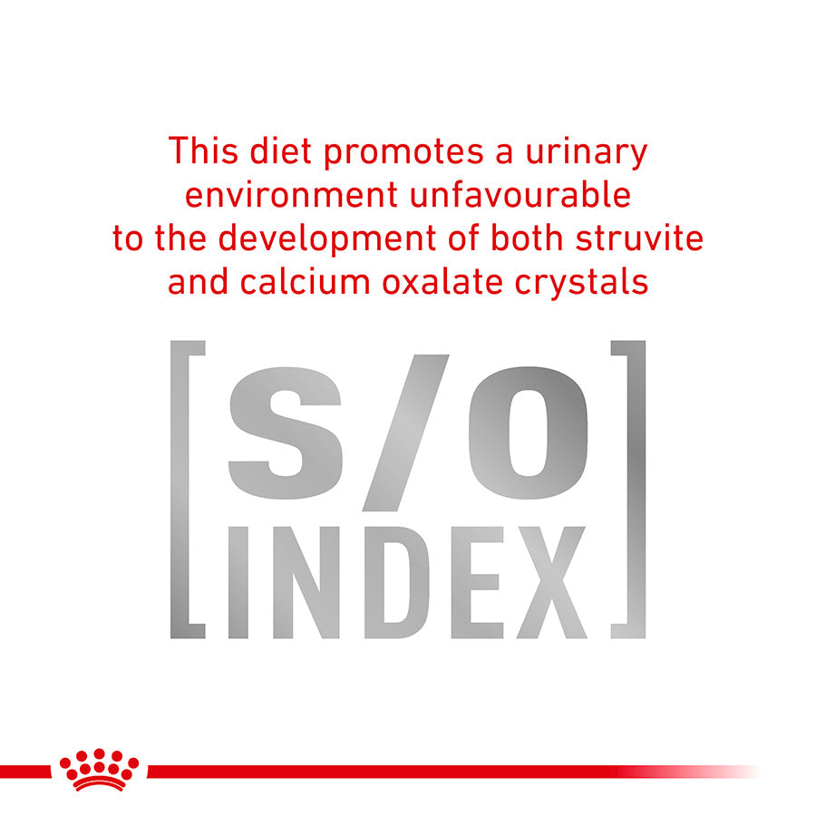 Royal Canin Veterinary Diabetic Adult Wet Cat Food in Gravy 48x85g