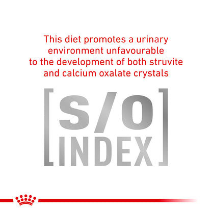 Royal Canin Veterinary Diabetic Adult Wet Cat Food in Gravy 48x85g