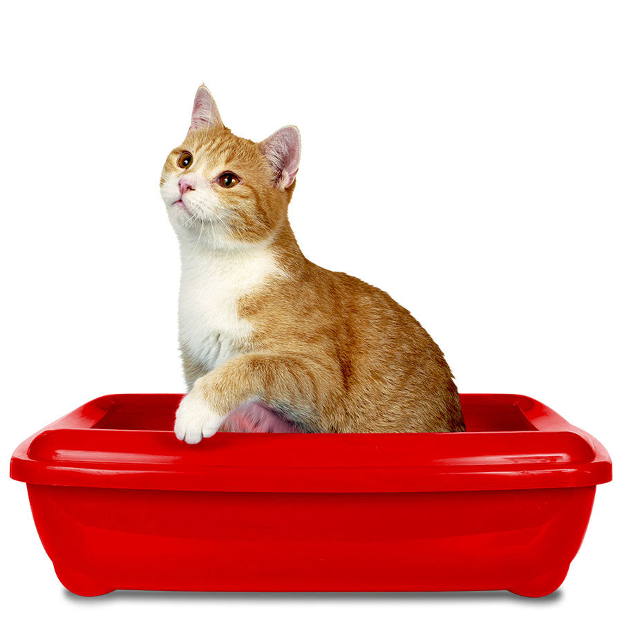 Simple Solution Cat Litter Freshener 600g
