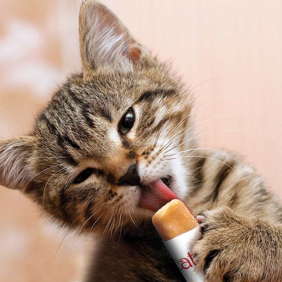 Catit Creamy Lickable Cat Treats Chicken & Lamb 4x10g