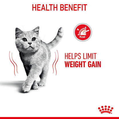 Royal Canin Feline Light Weight Adult Dry Cat Food 8kg
