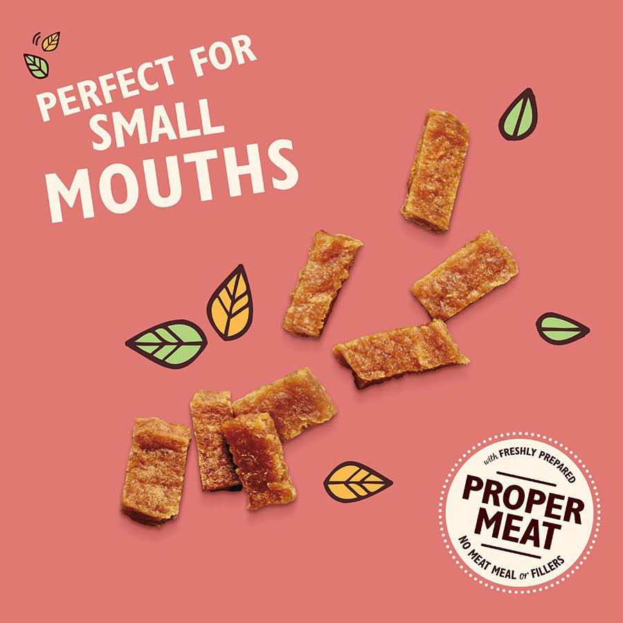 Lily's Kitchen Puppy Treats Chicken & Salmon 70g