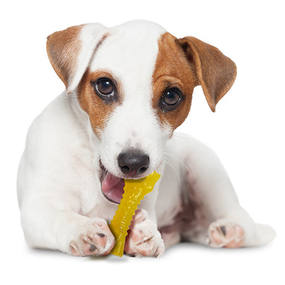 Nylabone Puppy Chill & Chew Toy Small