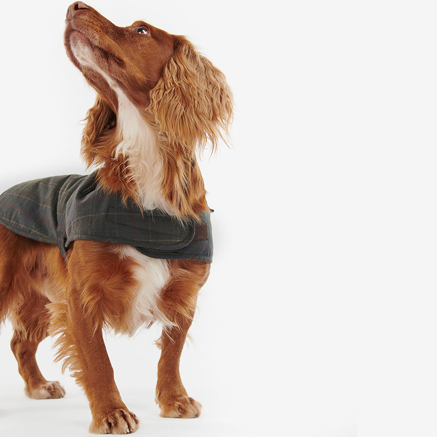 Barbour Dog Wax Coat Tartan X Small