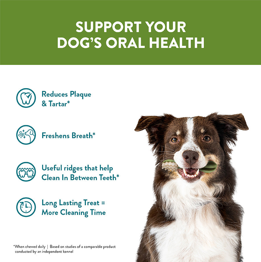 Whimzees Daily Dental Variety Box Large Dogs 14 Pack 840g