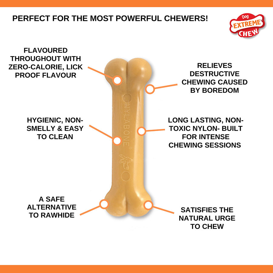 Nylabone Dura Dog Chew Toy Peanut Butter Large