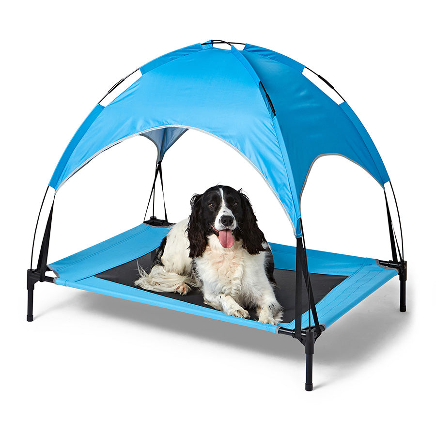 Sunny Daze Raised Air Dog Bed with UV Canopy Blue