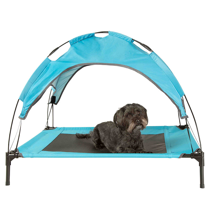 Sunny Daze Raised Air Dog Bed with UV Canopy Blue