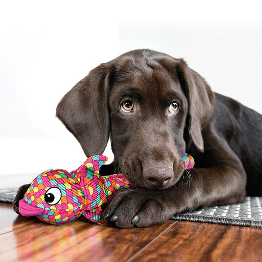 Kong Wubba Finz Dog Toy Small