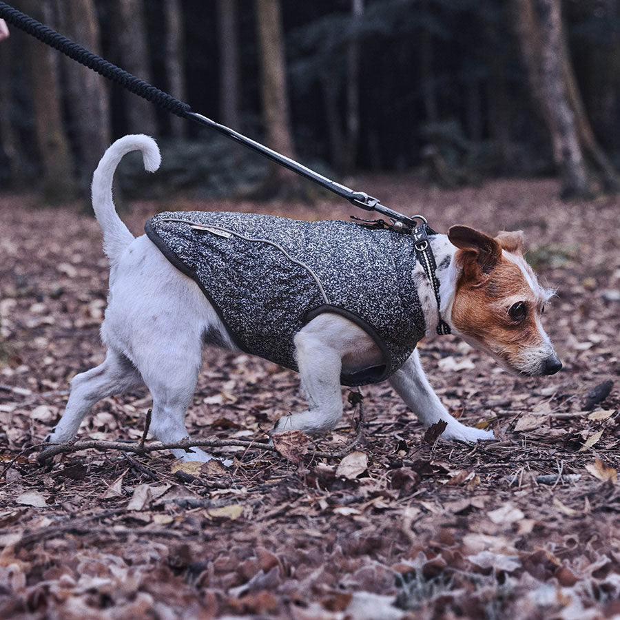 3 Peaks 3M Thinsulate Bomber Dog Coat Black Marl