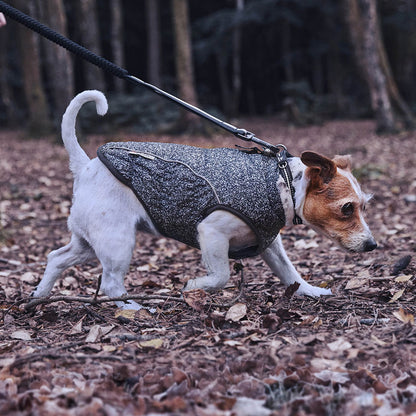 3 Peaks 3M Thinsulate Bomber Dog Coat Black Marl
