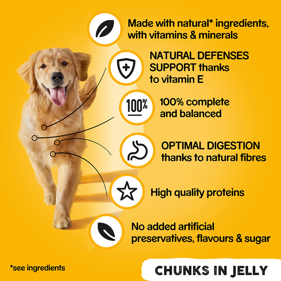Pedigree Mixed Selection Wet Dog Food In Jelly 24x385g