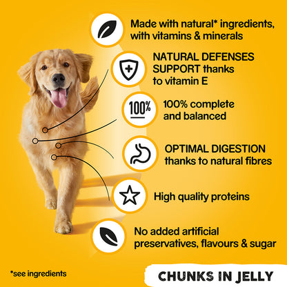Pedigree Mixed Selection Wet Dog Food In Jelly 24x385g