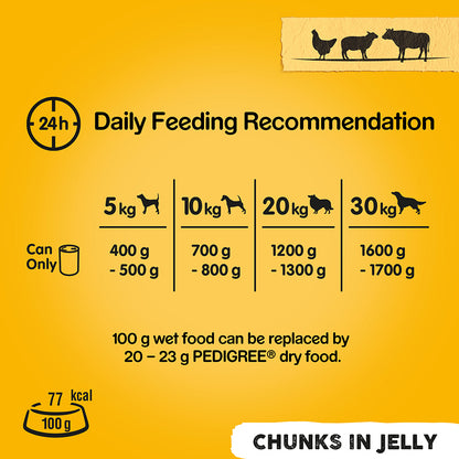 Pedigree Mixed Selection Wet Dog Food In Jelly 24x385g