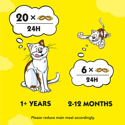 Dreamies Cat Treat Biscuits with Catnip 60g