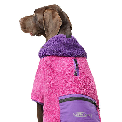 Canada Pooch Cool Factor Dog Hoodie Pink/Purple