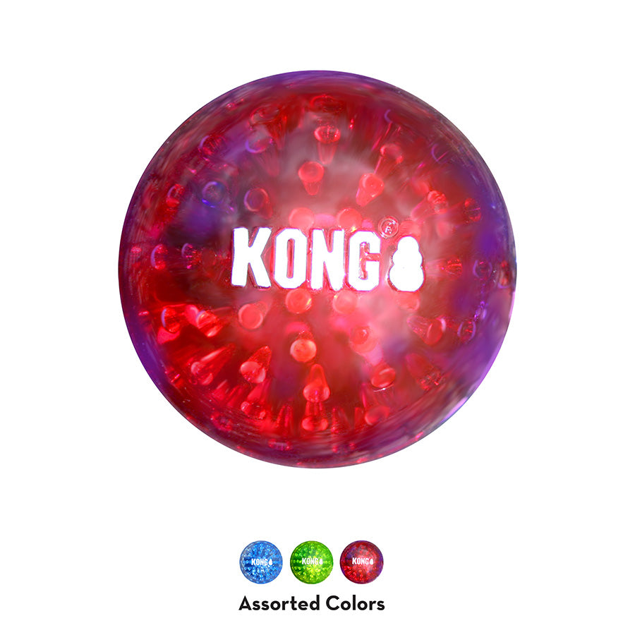 Kong Squeezz Geodz Squeaky Dog Toy Large x2