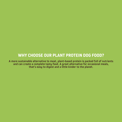 Wainwright's Plant Based Protein Adult Dry Dog Food