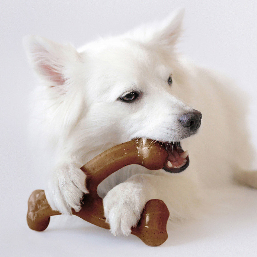 Benebone Wishbone Dog Chew Toy Bacon
