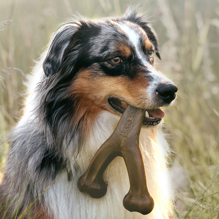 Benebone Wishbone Dog Chew Toy Bacon