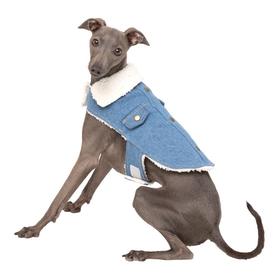 Pets at Home Denim Dog Jacket Blue