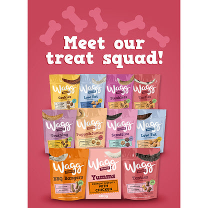 Wagg Dog Treats Tasty Bones 125g