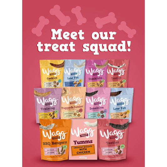 Wagg Dog Treats Tasty Bones 125g