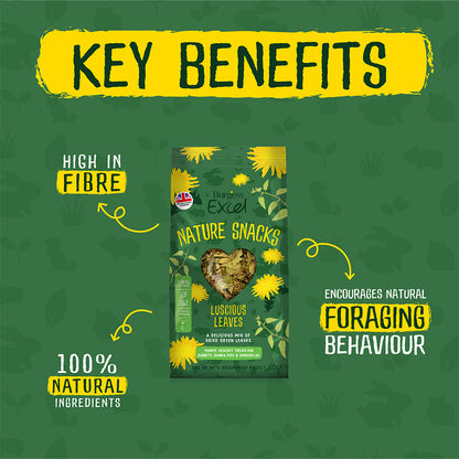 Burgess Excel Small Animal Treats Luscious Leaves 60g