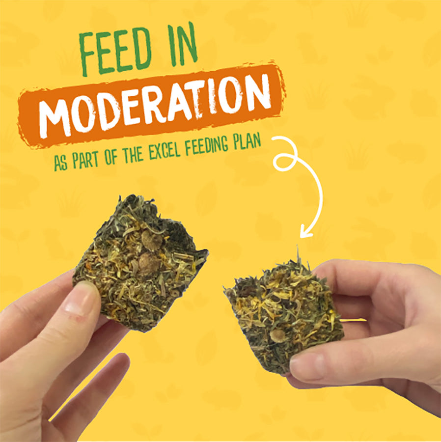 Burgess Excel Small Animal Treats Forage & Feast Hay Bar Marigold 60g
