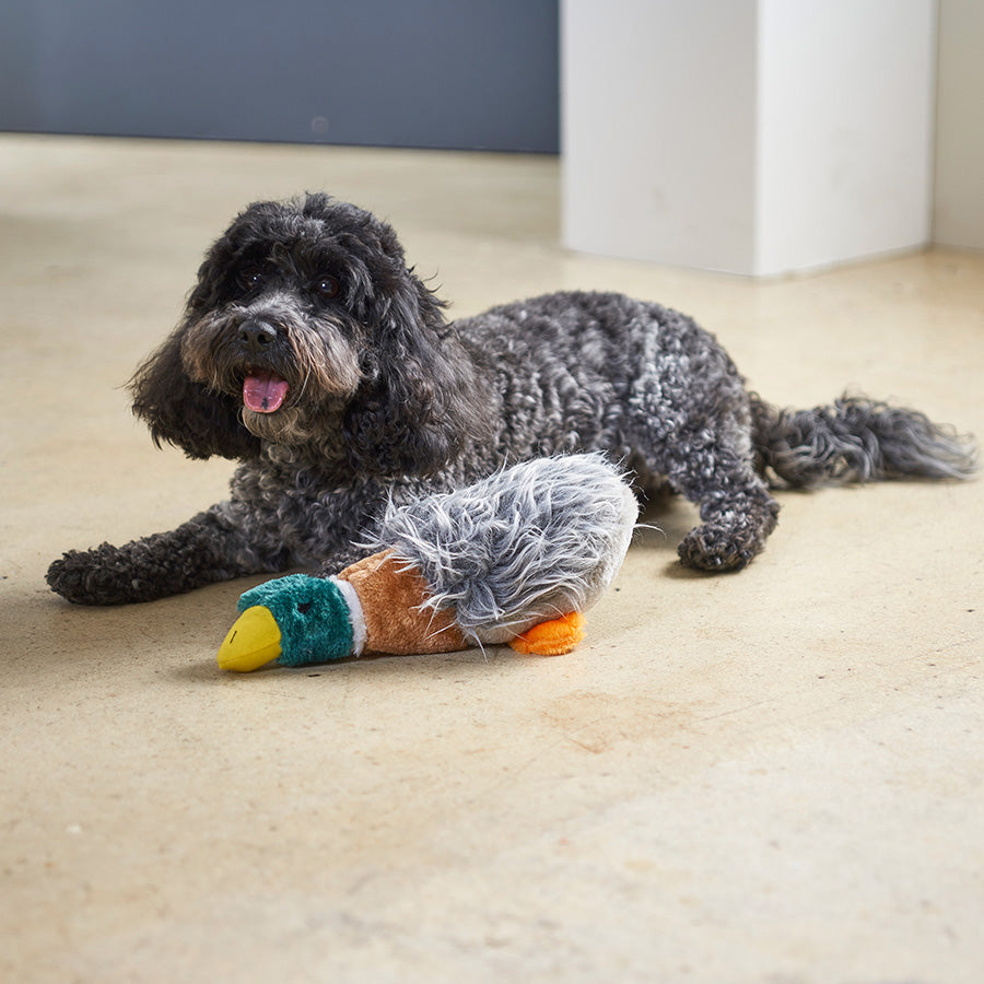 Pets at Home Honking Duck Dog Toy