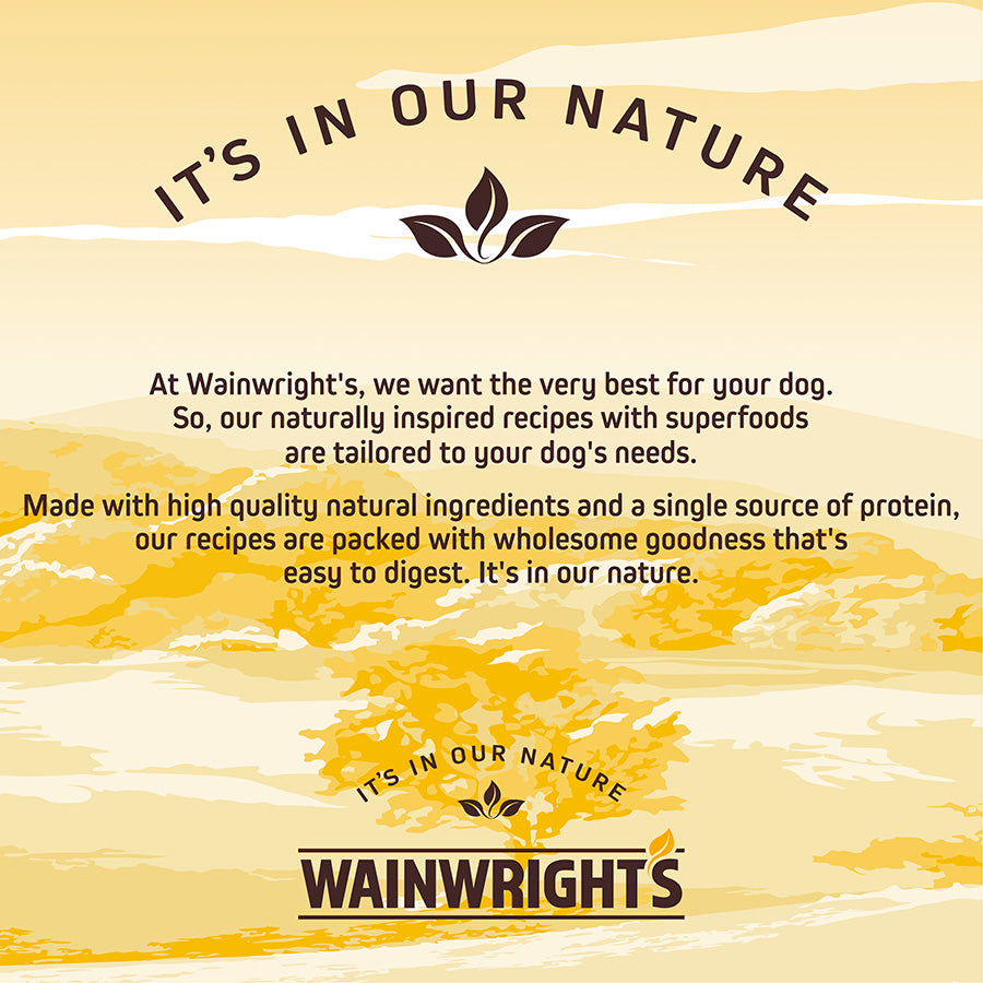Wainwright's Sensitive Adult Dry Dog Food Atlantic Salmon With Superfoods