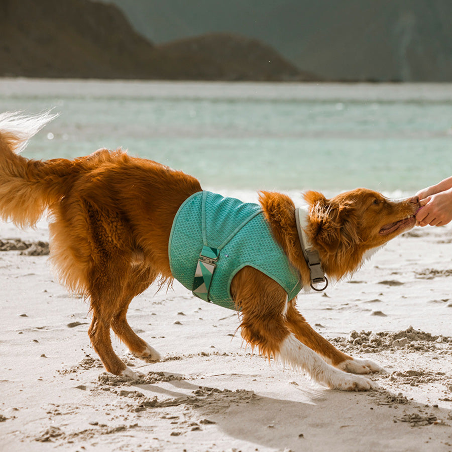 Hurtta Cooling Dog Wrap Aquamarine