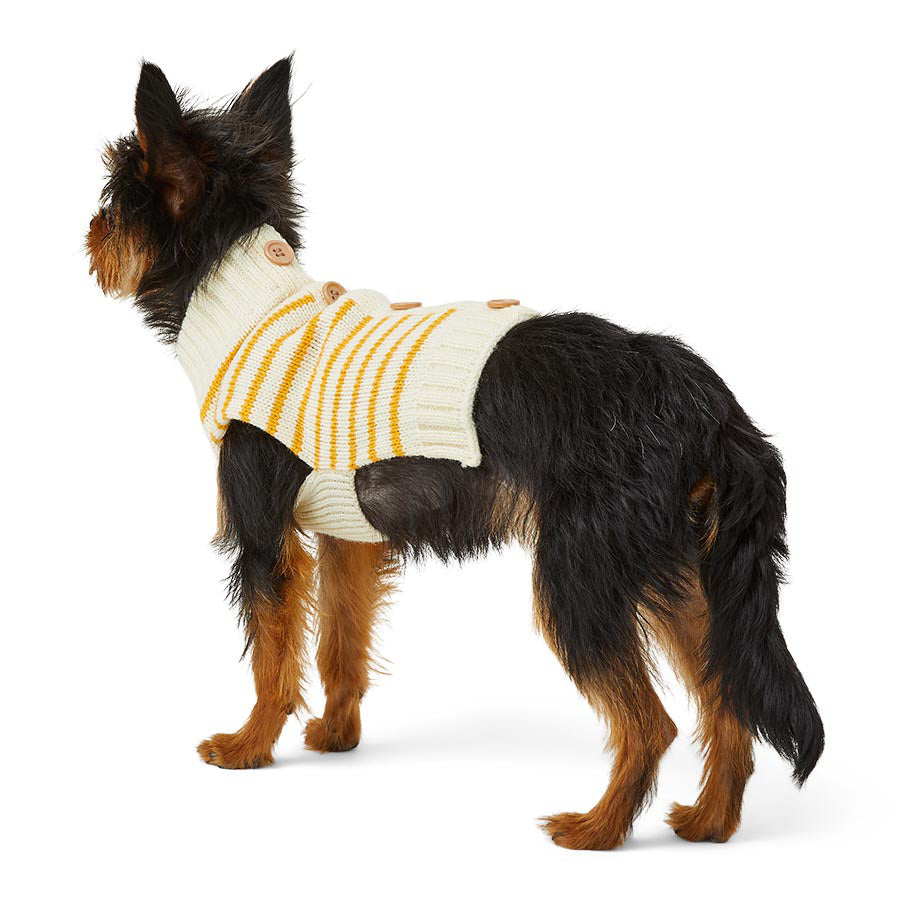 Just For Puppy Stripe Cardigan Cream & Orange