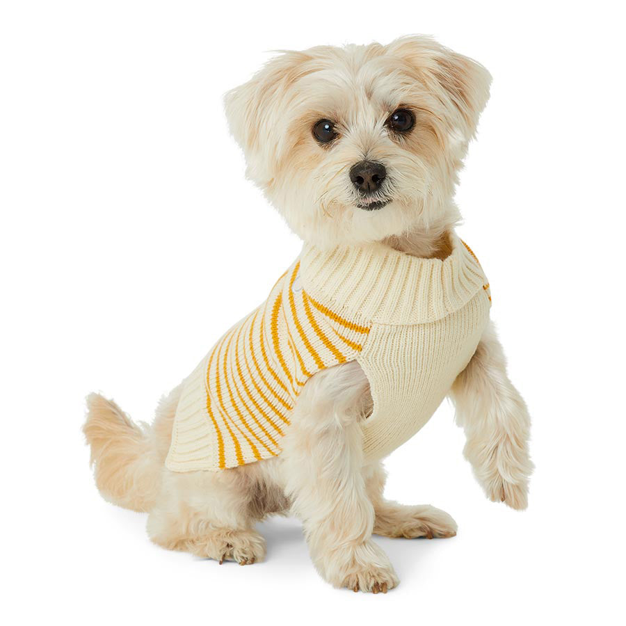 Just For Puppy Stripe Cardigan Cream & Orange