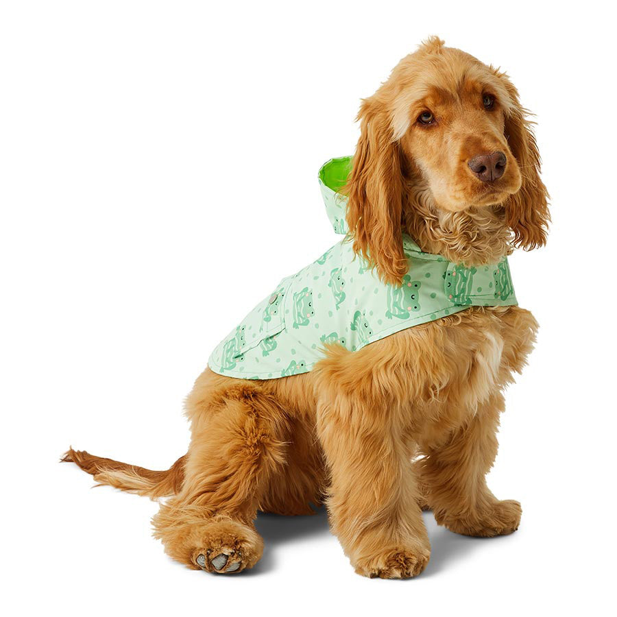 Just For Puppy Frog Print Raincoat Green