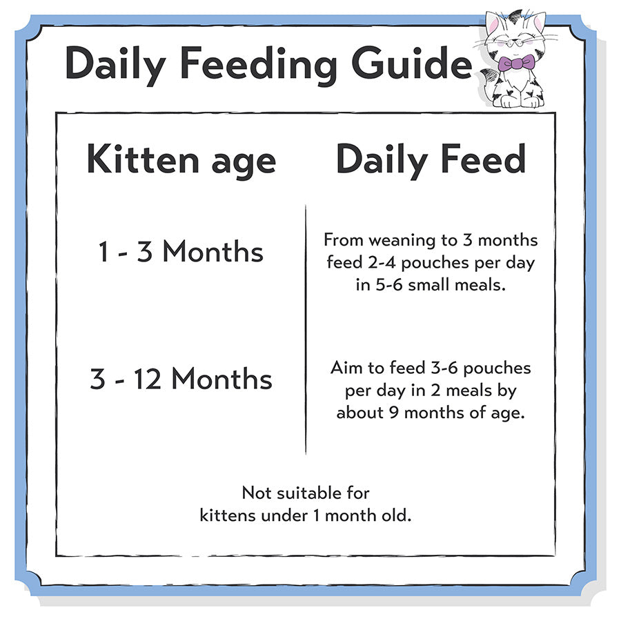 Seriously Good Wet Kitten Food Fish In Jelly 12x70g