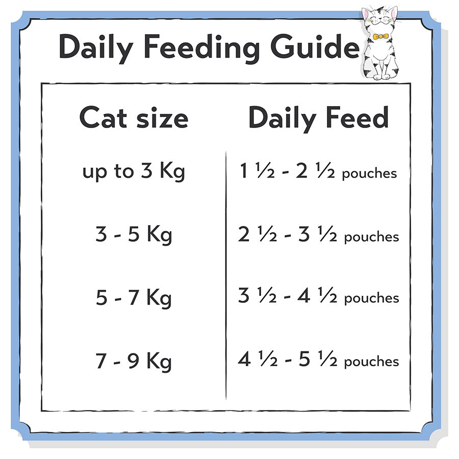 Seriously Good Wet Adult Cat Food Fish Jelly
