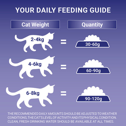 Purina ONE Coat & Hairball Adult Dry Cat Food Chicken 2.8kg