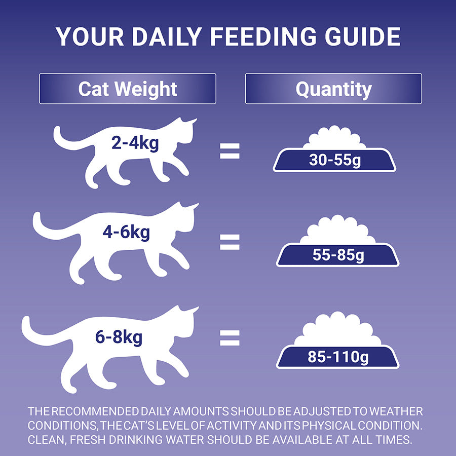 Purina ONE Sensitive Adult Dry Cat Food with Turkey 2.8kg